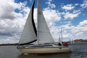 Plett Sept - Dam November 2010